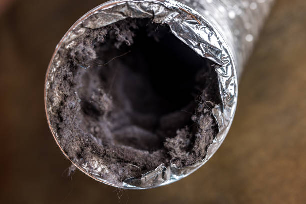 Best Air Duct Sanitizing Services  in Worcester, MA